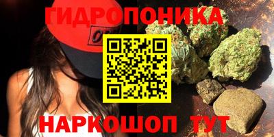 стаф Усть-Илимск